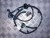 Imagine 1