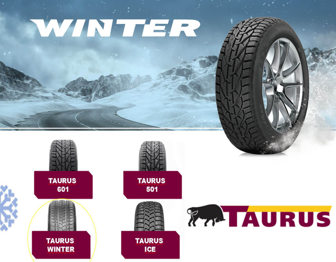 winter_taurus_2-1542614491.jpg